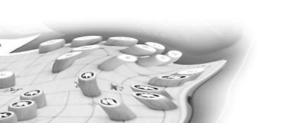 �ھ�������������� ���м��ˡ�����������(ͼ)