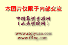 胡荣华特级大师