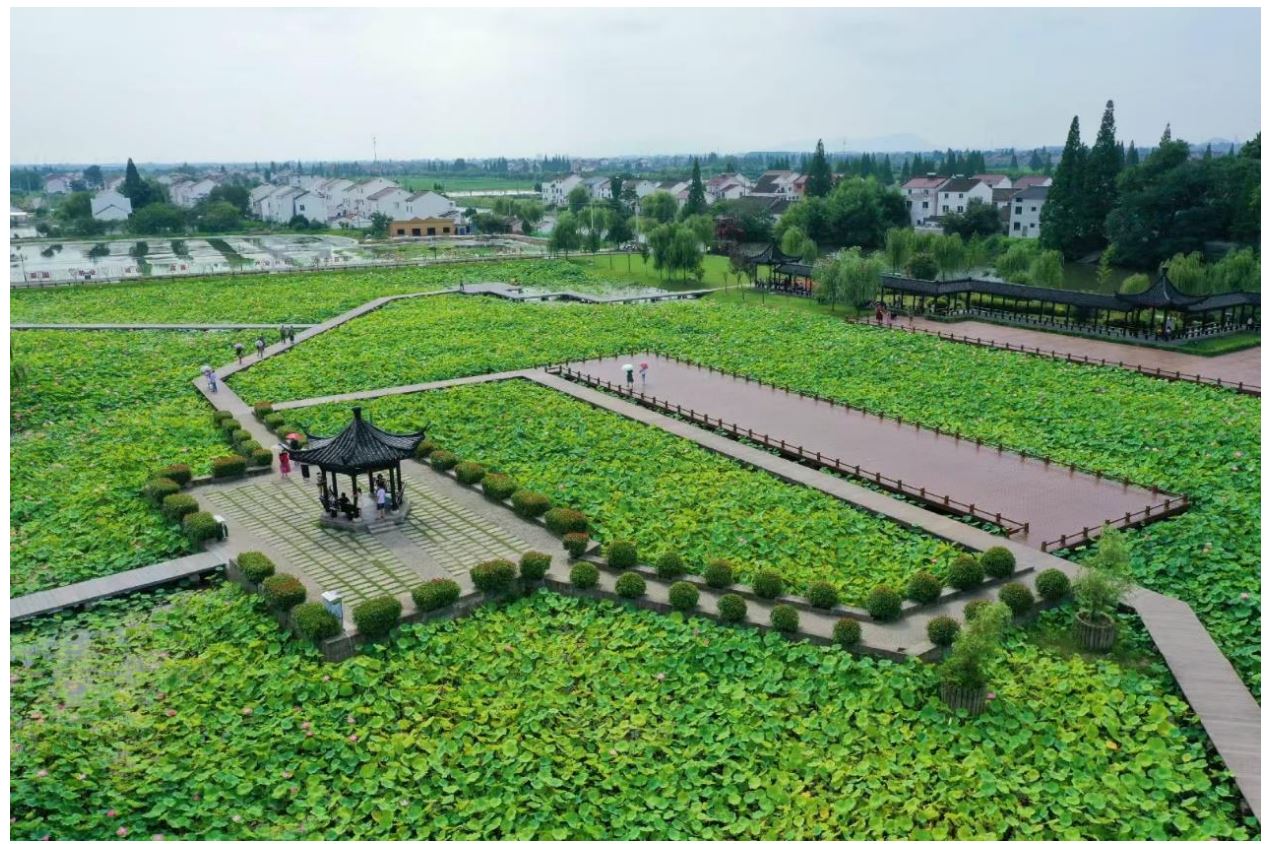 2026����������ǽֵ���ʫ�ס�������˱������幫�����������